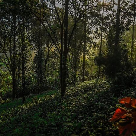 Southern Panorama Indriya Resorts & Spa Munnar Exteriér fotografie