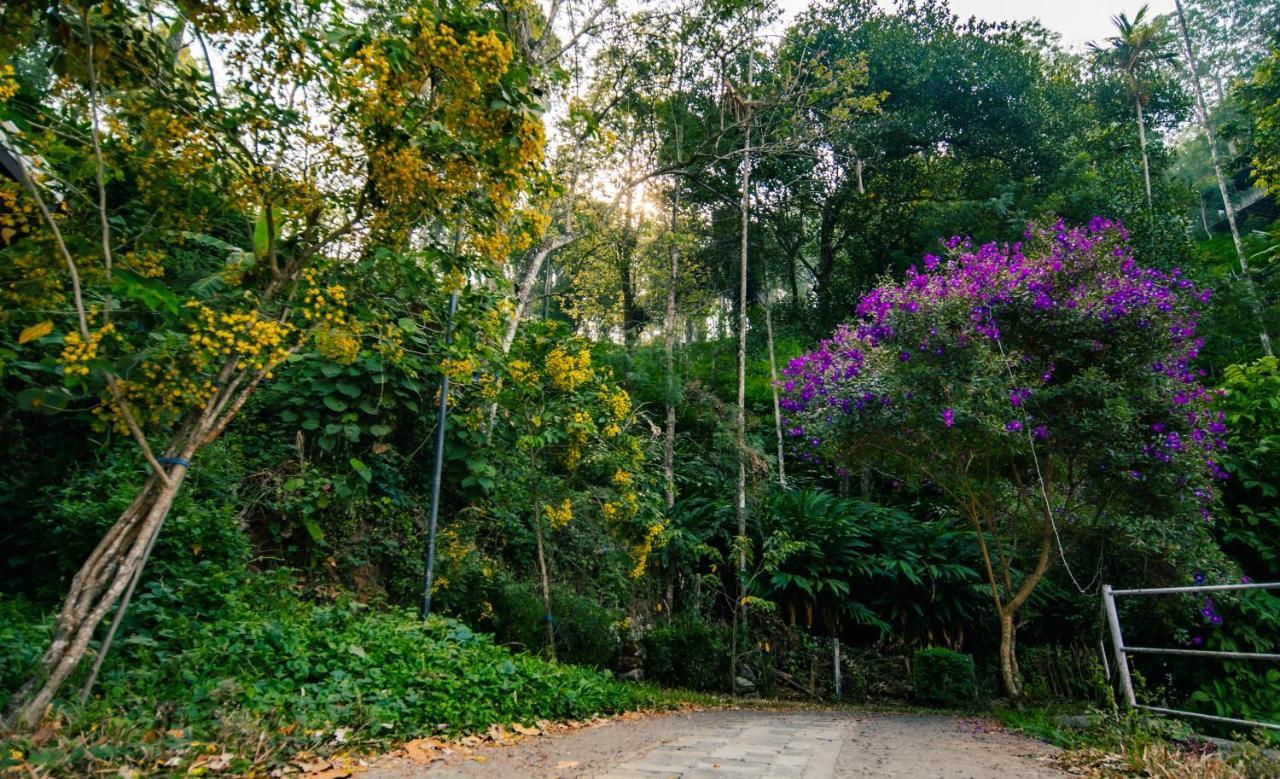 Southern Panorama Indriya Resorts & Spa Munnar Exteriér fotografie