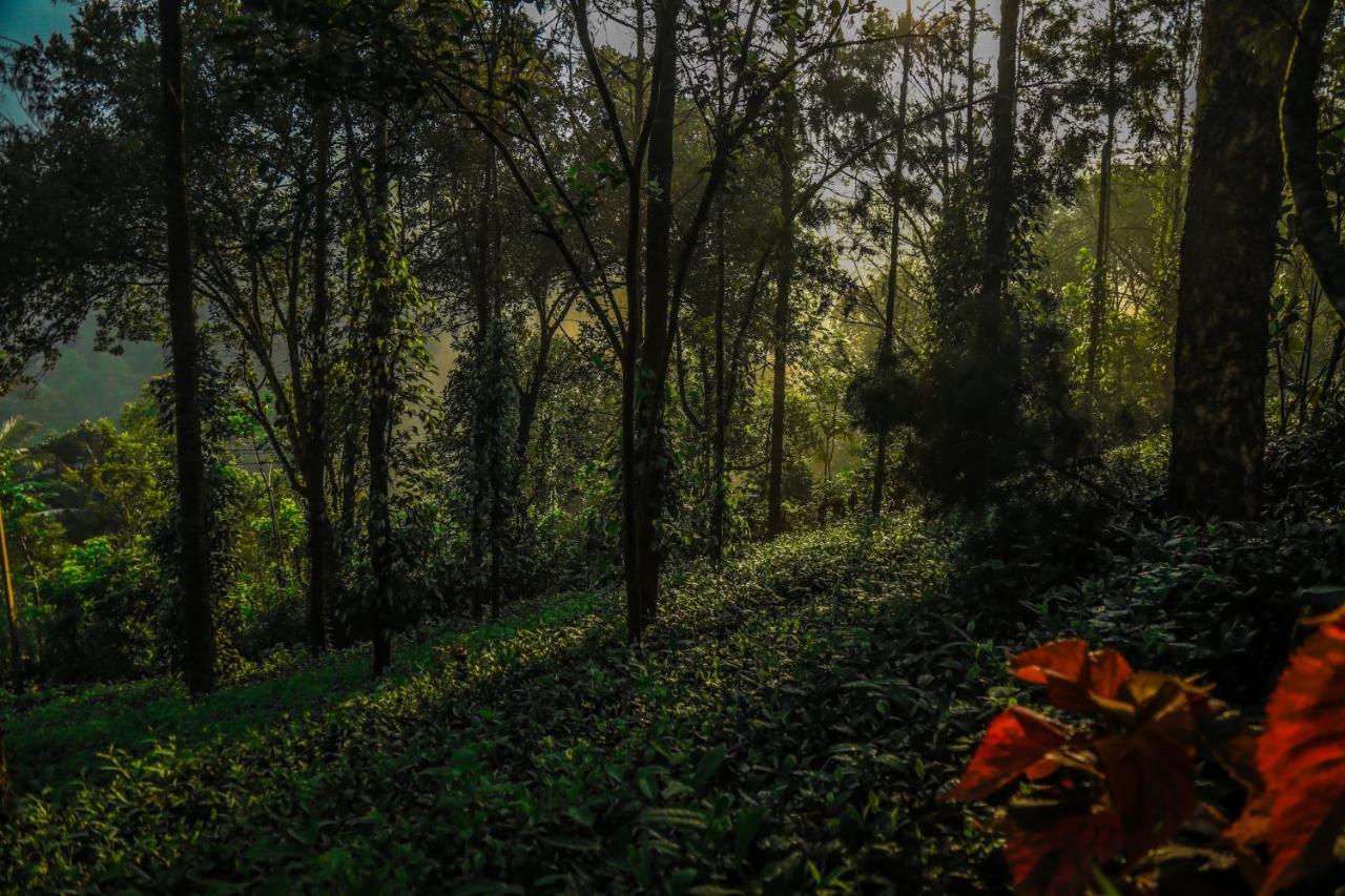 Southern Panorama Indriya Resorts & Spa Munnar Exteriér fotografie