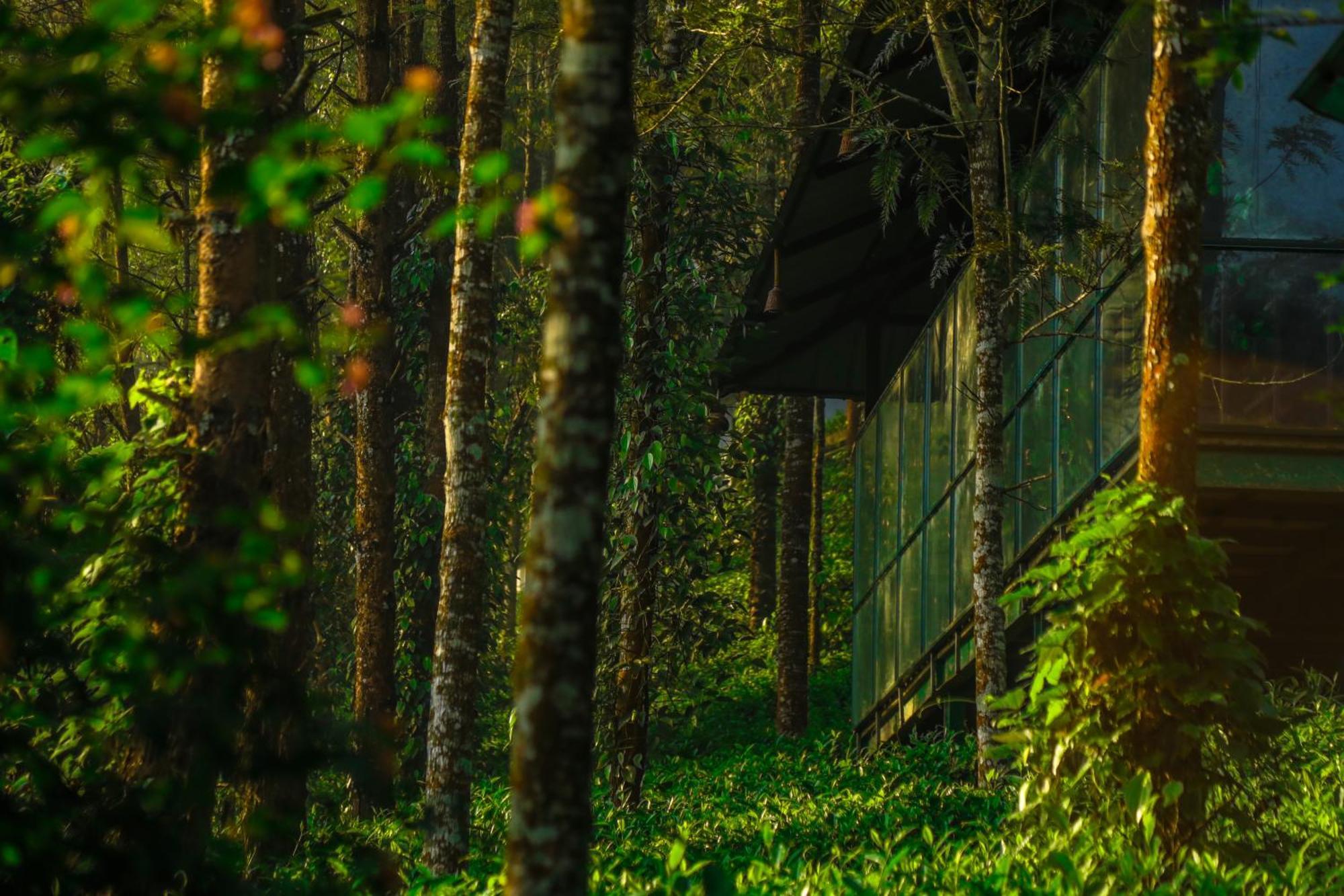 Southern Panorama Indriya Resorts & Spa Munnar Exteriér fotografie